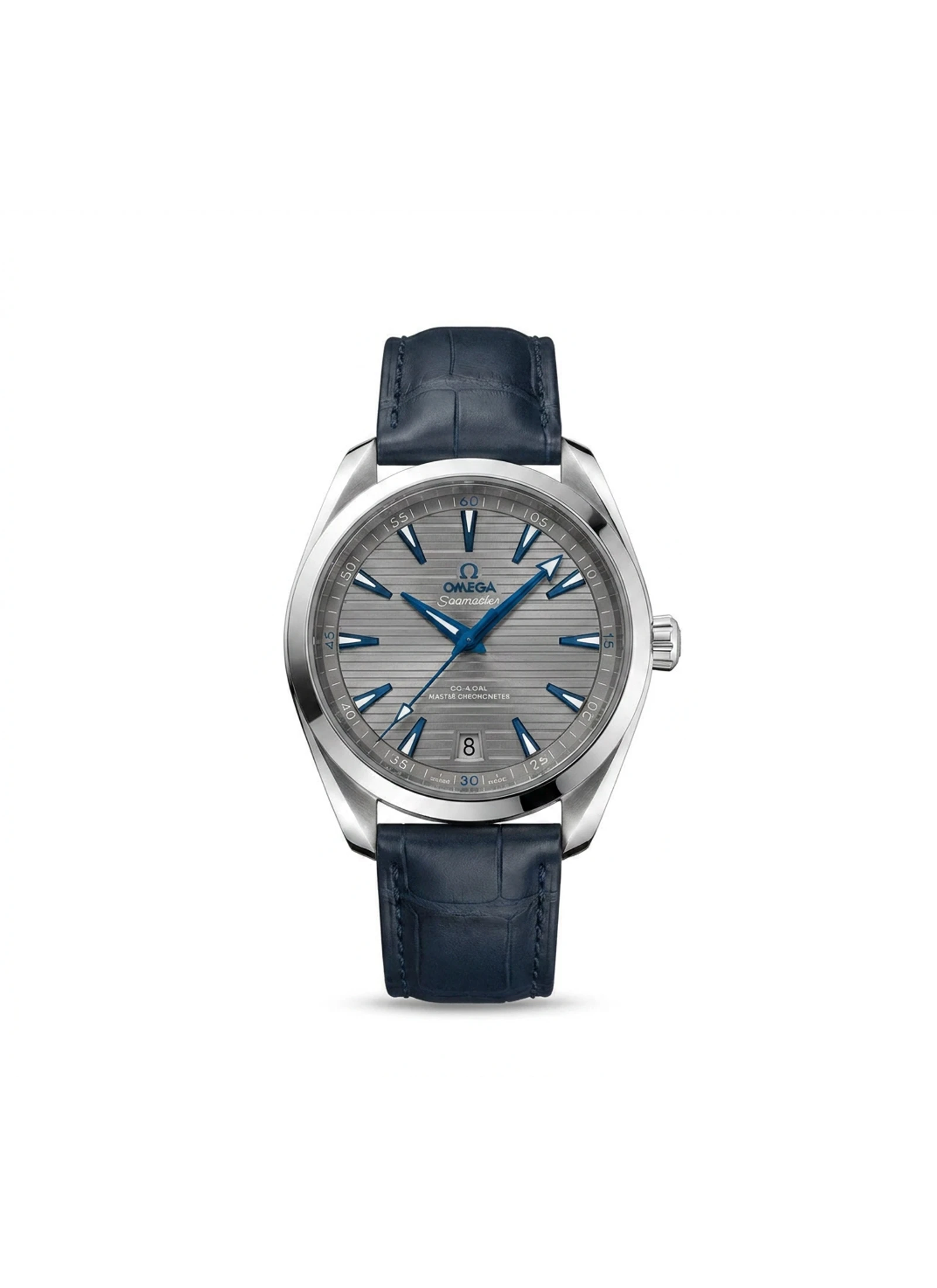 Omega Seamaster Aqua Terra 220.13.41.21.06.001