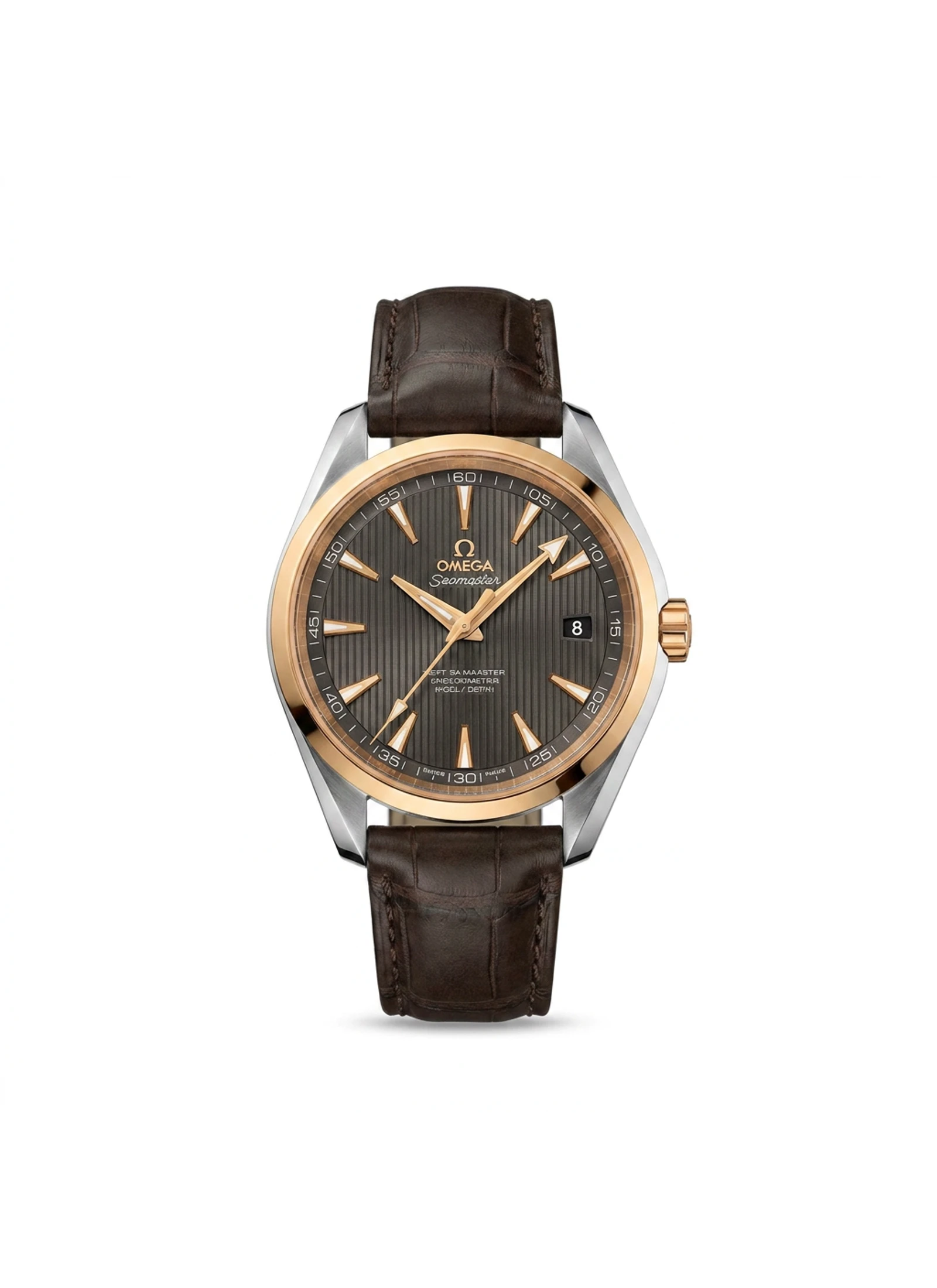 Omega Seamaster Aqua Terra 231.23.42.21.06.003