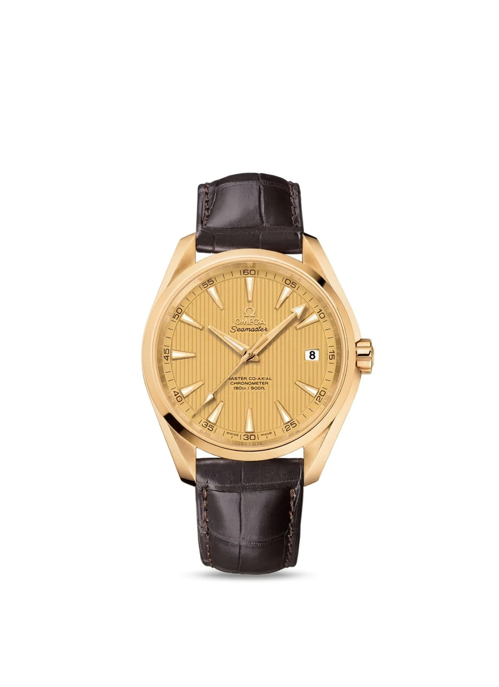 Omega Seamaster Aqua Terra 231.53.42.21.08.001