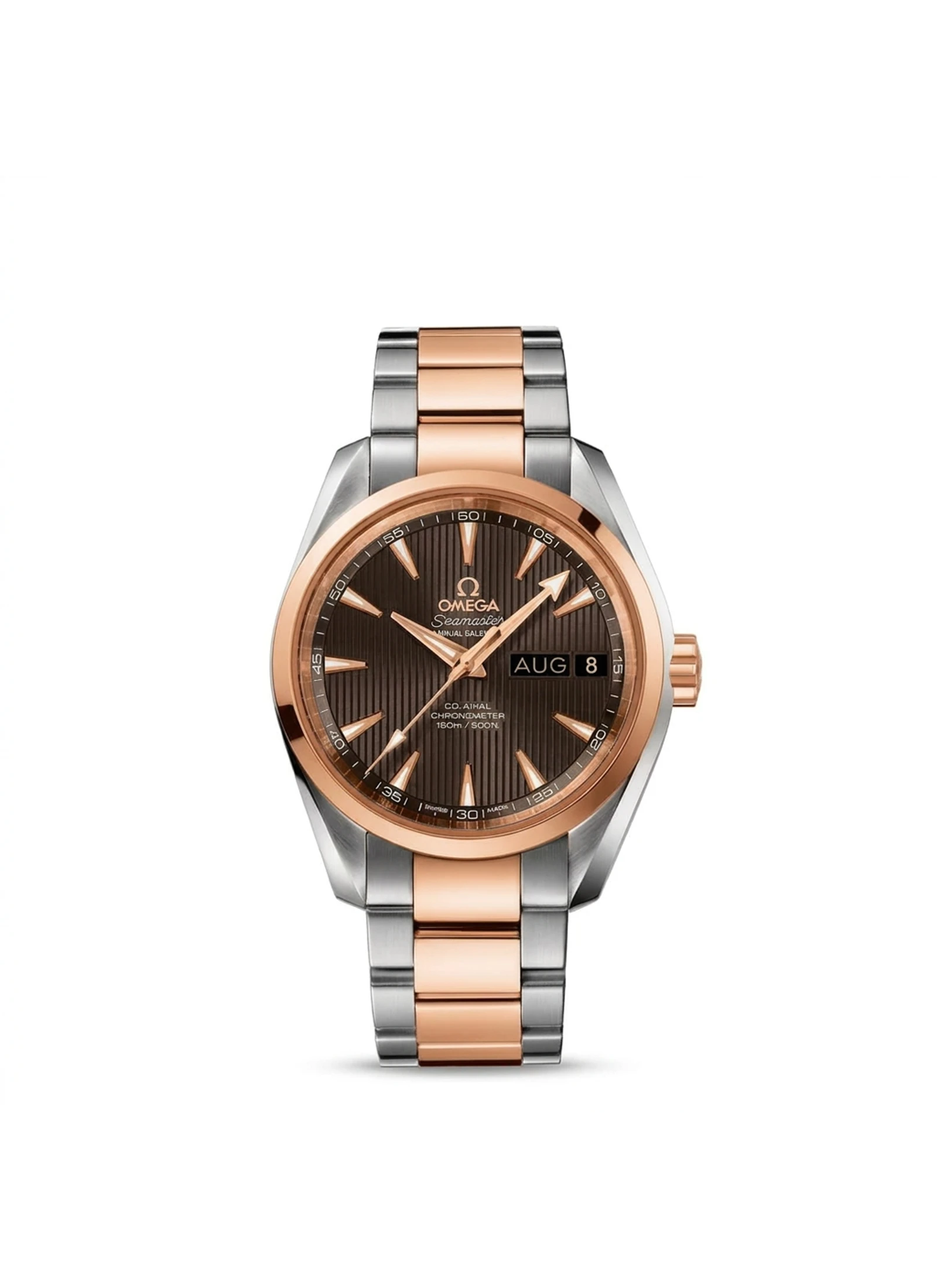 Omega Seamaster Aqua Terra 231.20.39.22.06.001