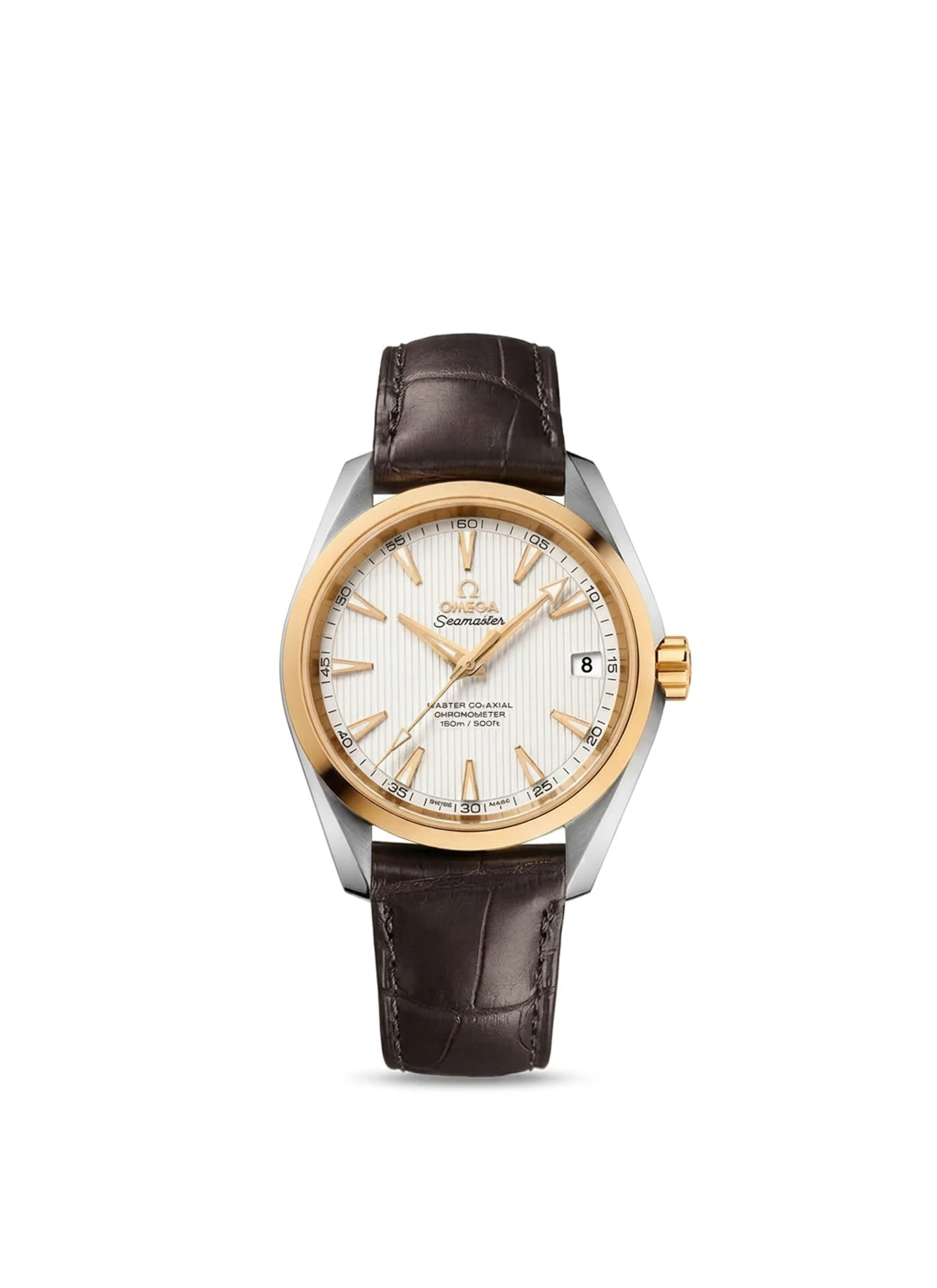 Omega Seamaster Aqua Terra 231.23.39.21.02.002