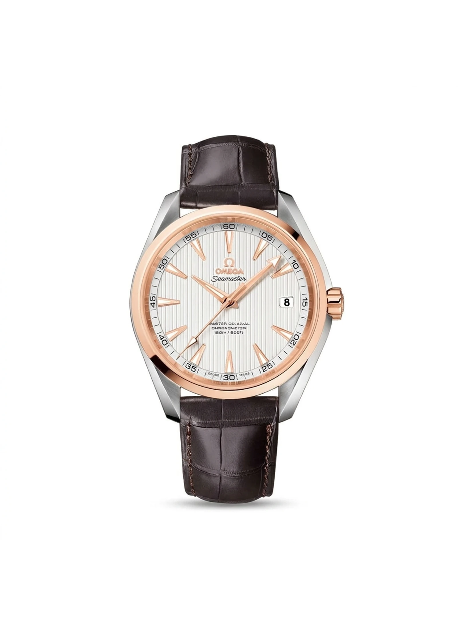 Omega Seamaster Aqua Terra 231.23.42.21.02.001