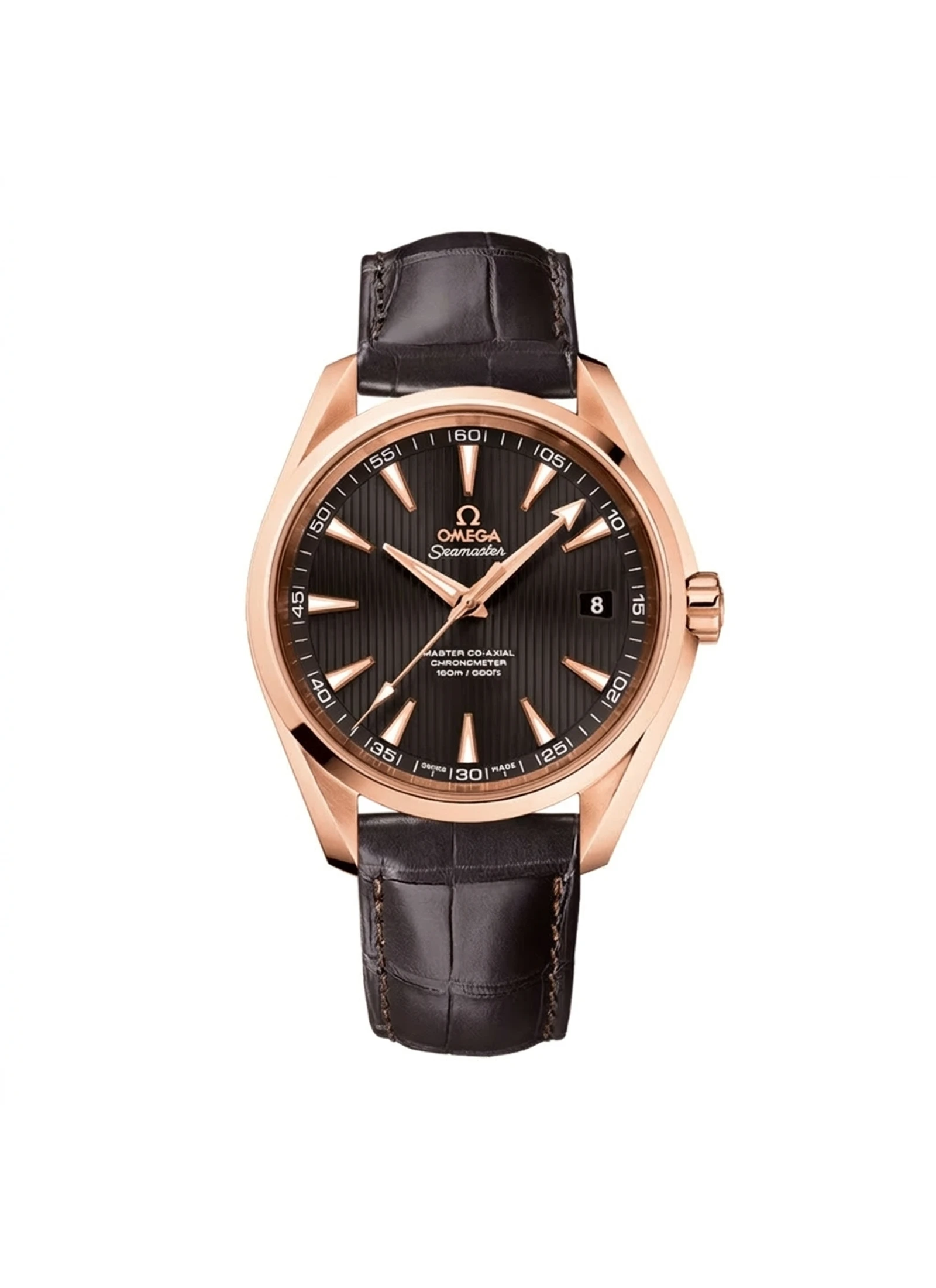 Omega Seamaster Aqua Terra 231.53.42.21.06.002