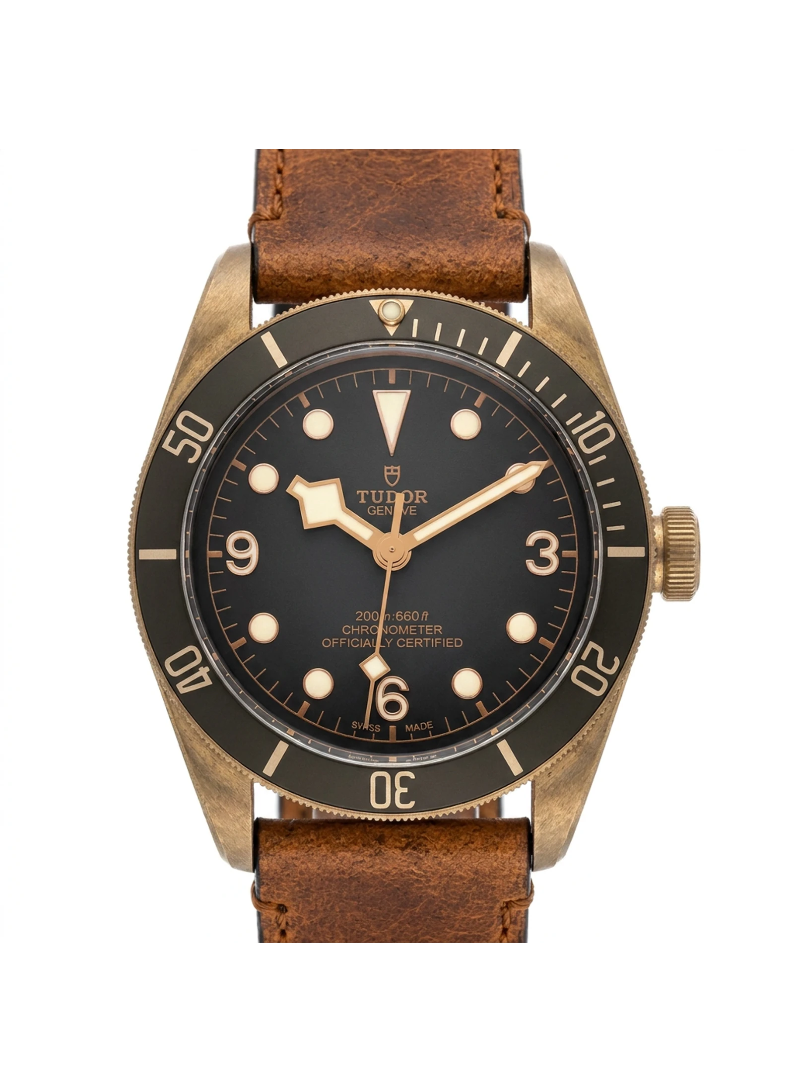 Tudor Black Bay