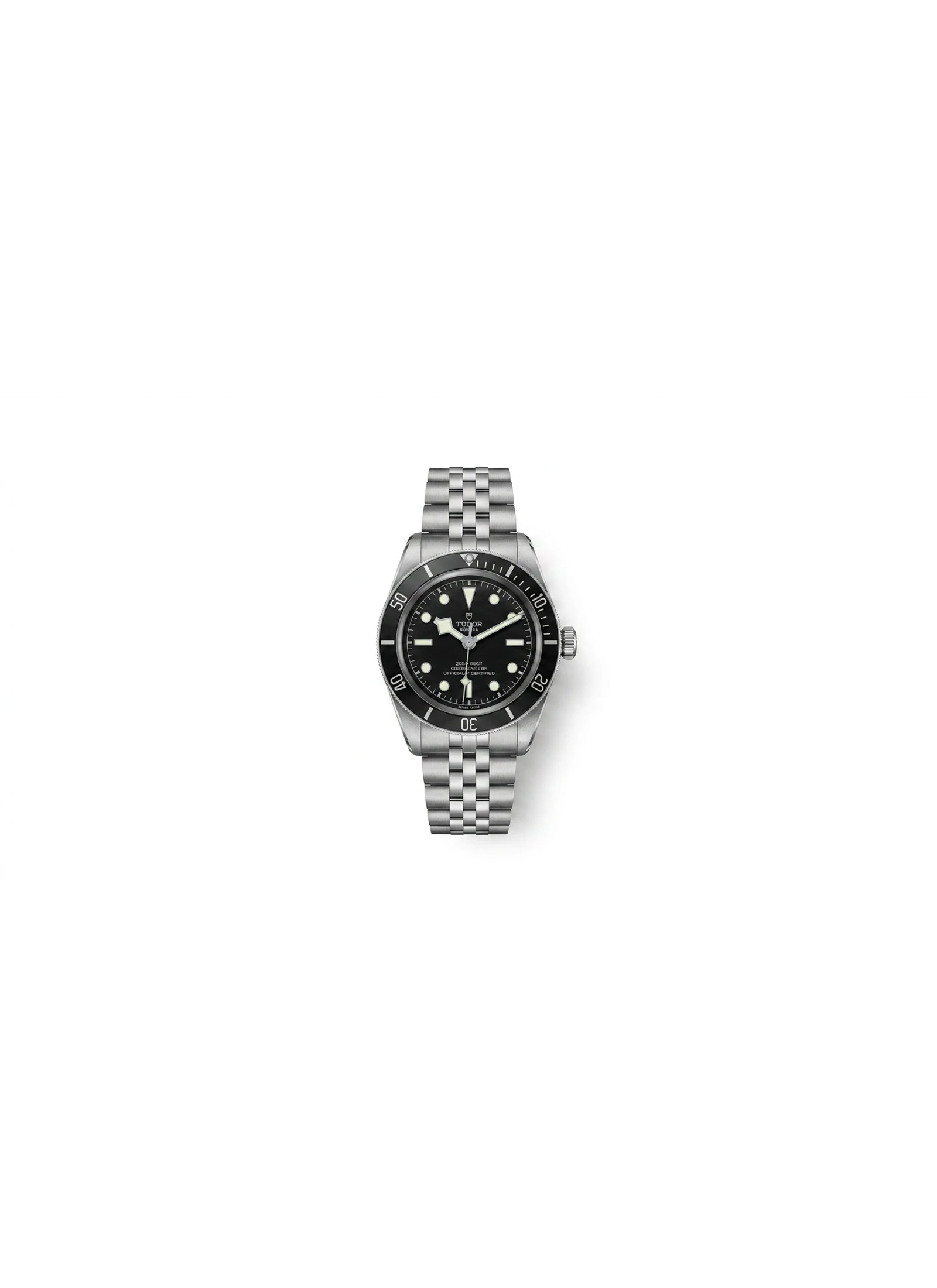 Tudor Black Bay S&G M79733N-0006
