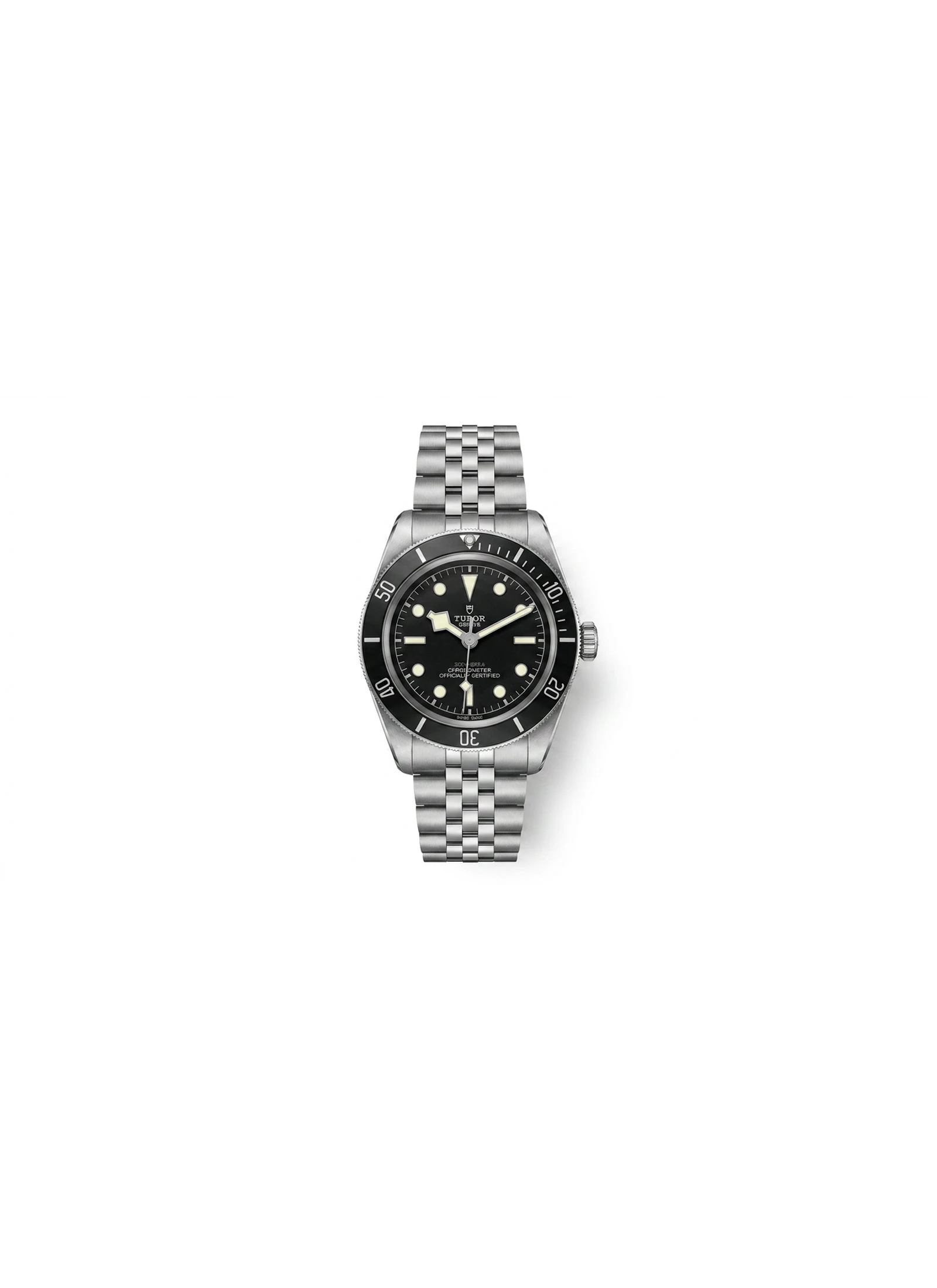 Tudor Black Bay S&G 79733N-0005