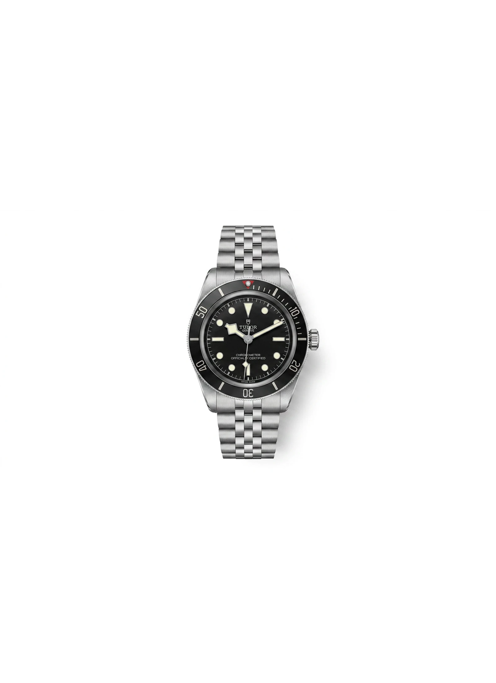 Tudor Black Bay S&G M79733N-0004