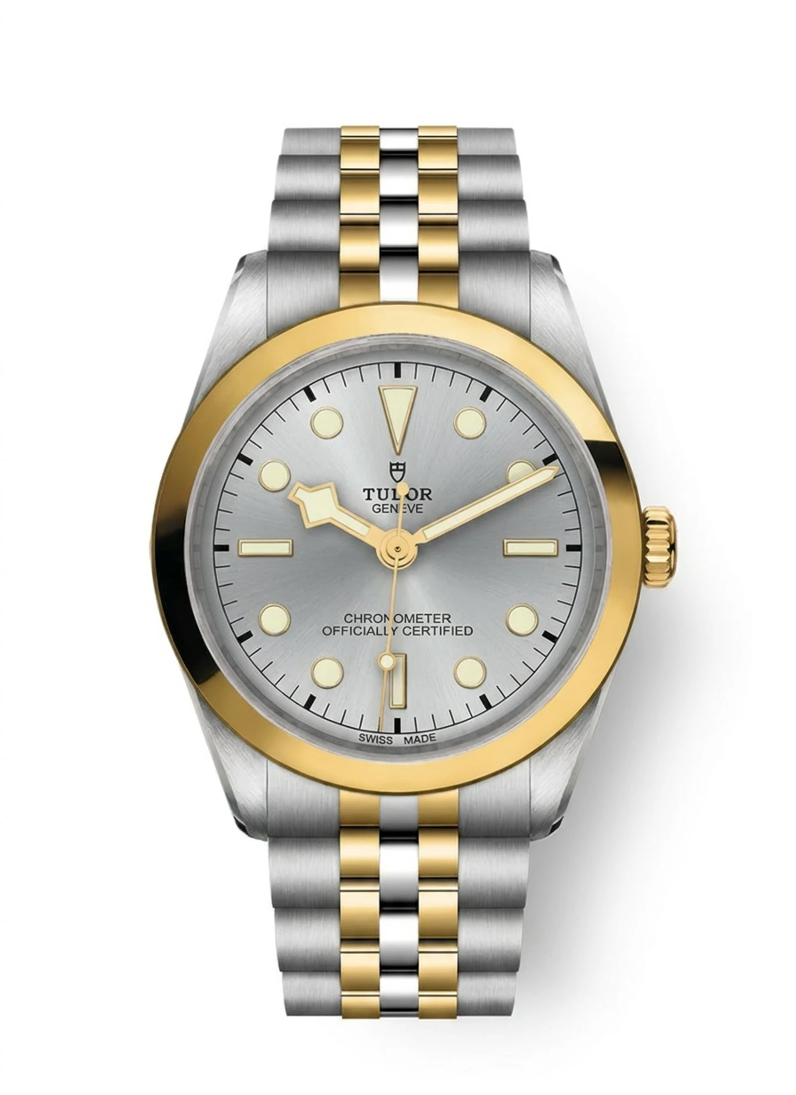 Tudor BLACK BAY 36 S&G M79643-0002