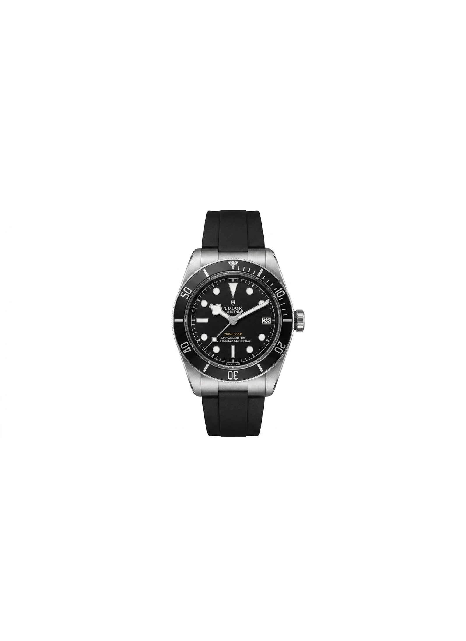 Tudor Black Bay S&G M79733N-0002