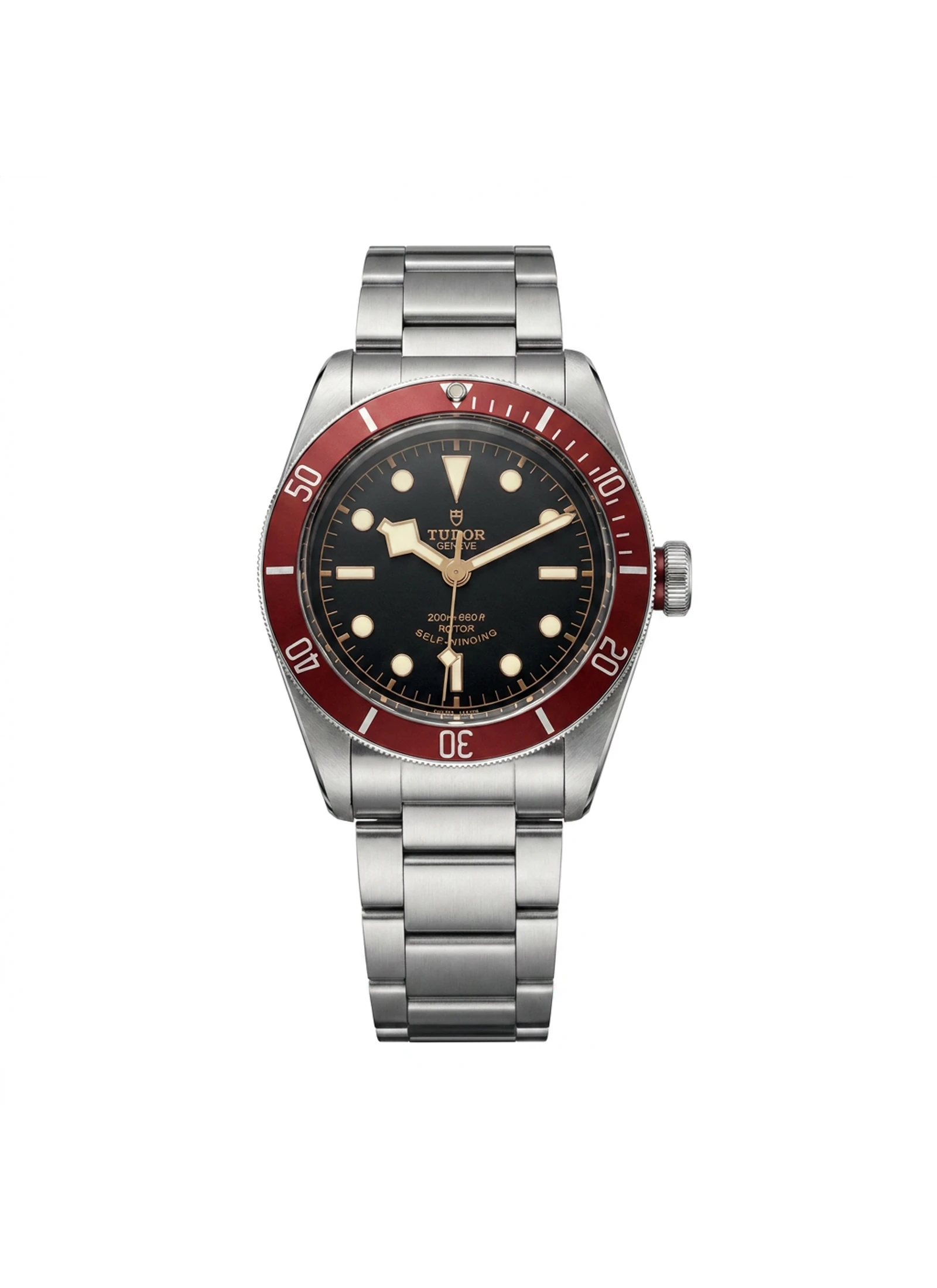 Tudor Black Bay 79210CNU