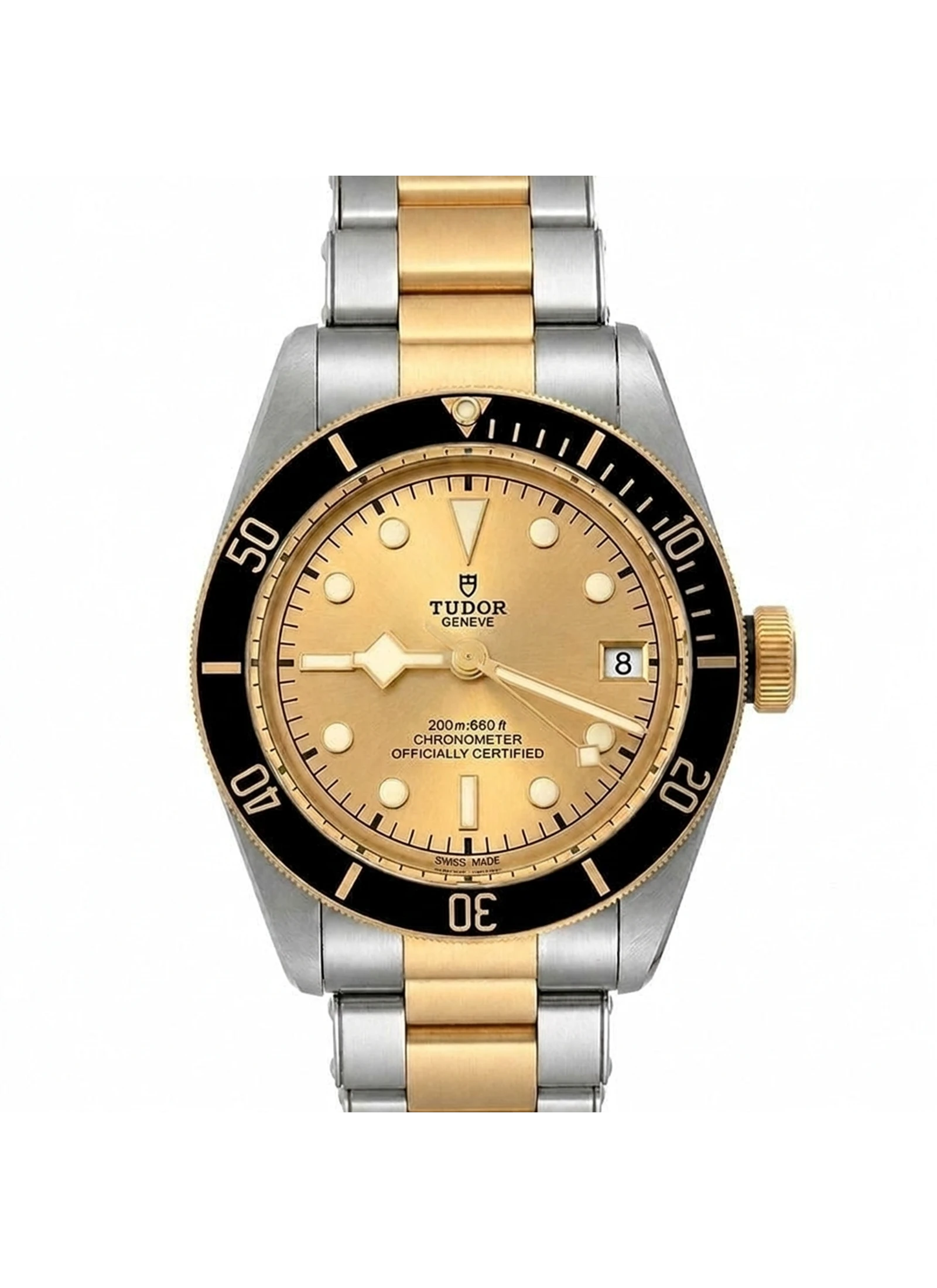 Tudor Black Bay S&G 79733N