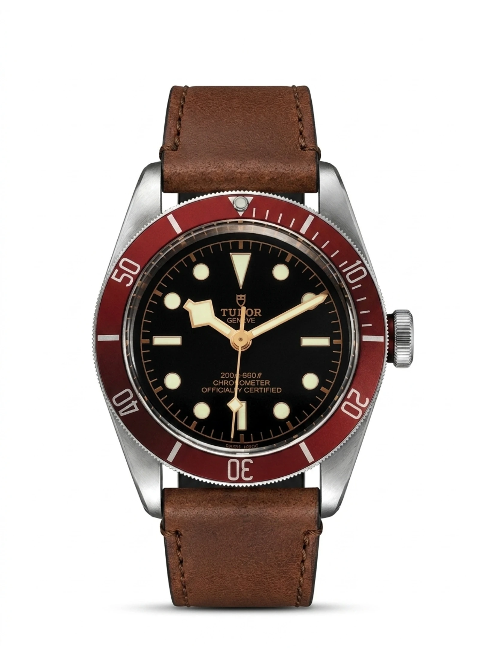 Tudor Black Bay M79230R