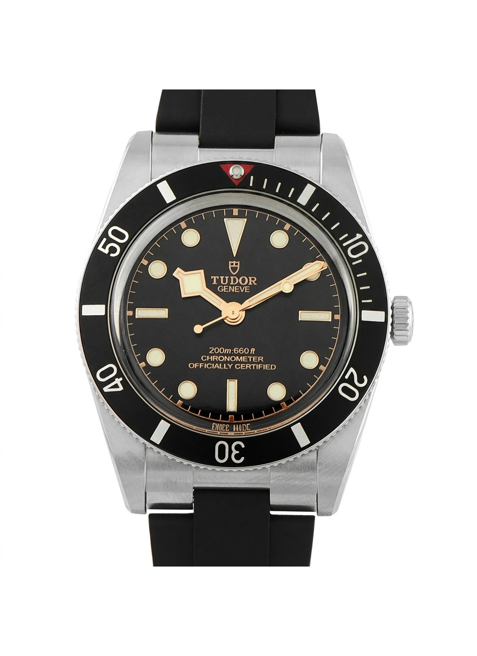 Tudor Black Bay 54 79000N