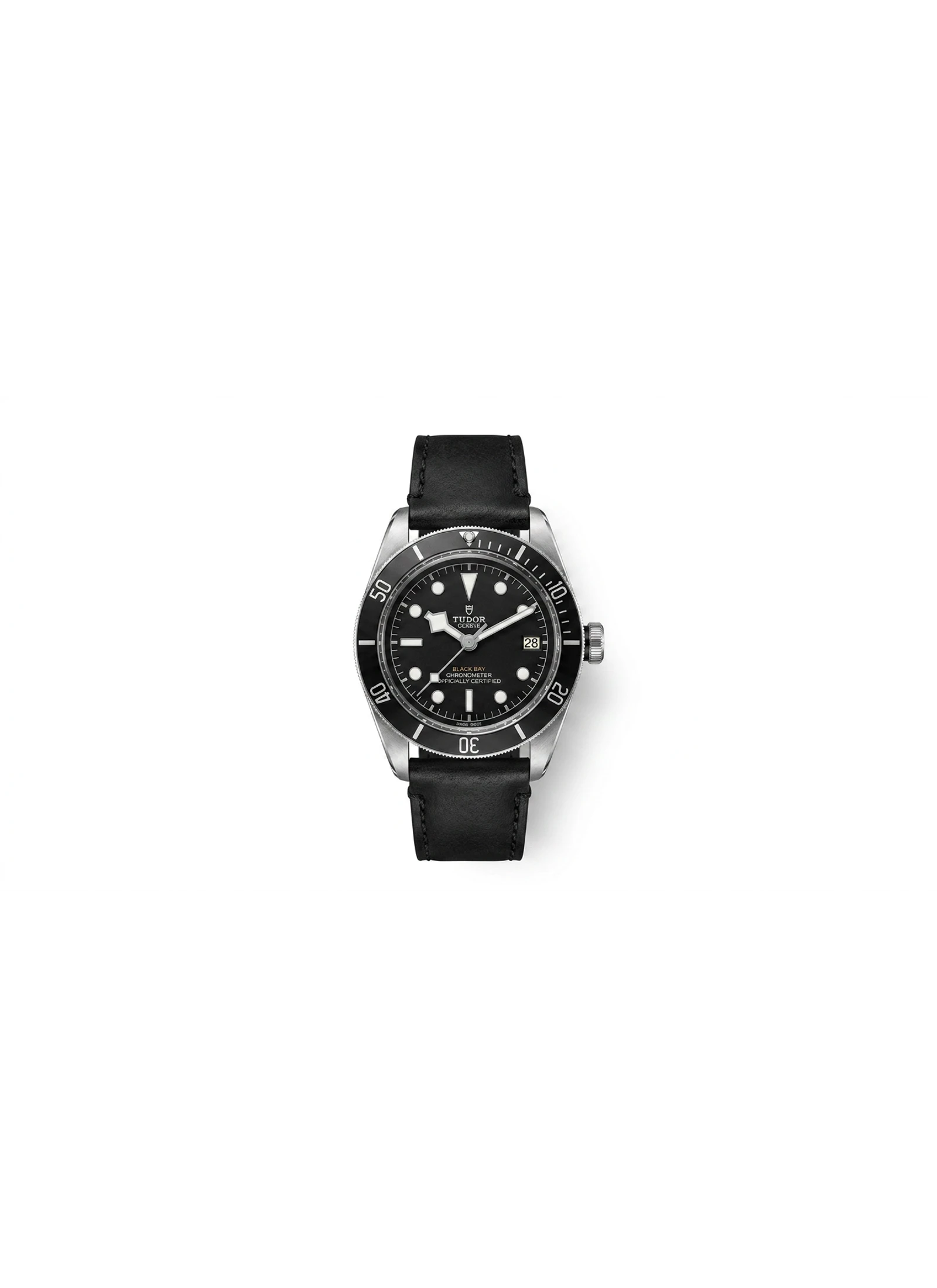 Tudor Black Bay S&G M79733N-0003