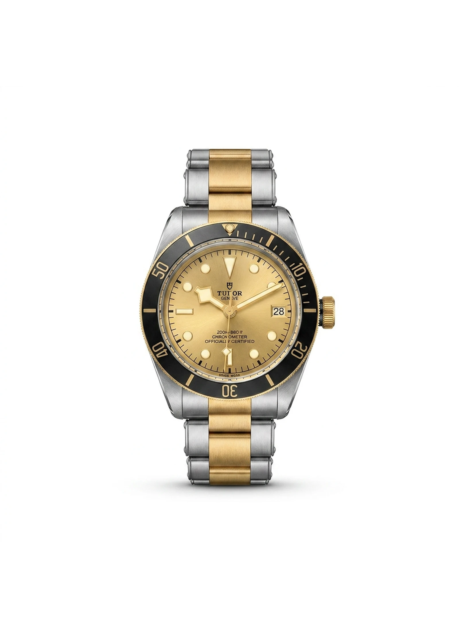Tudor Black Bay S&G M79733N