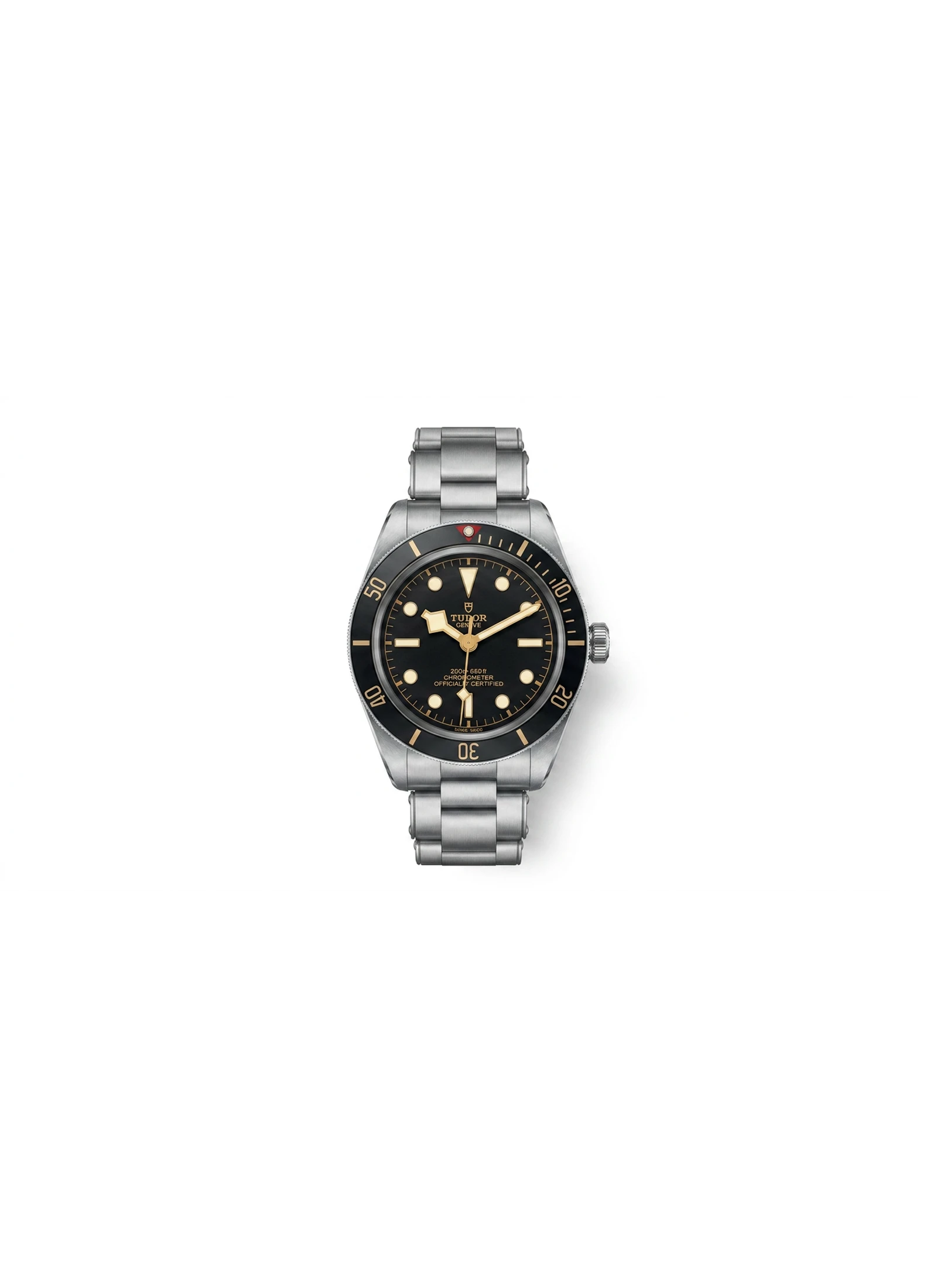 Tudor Pelagos 25600T