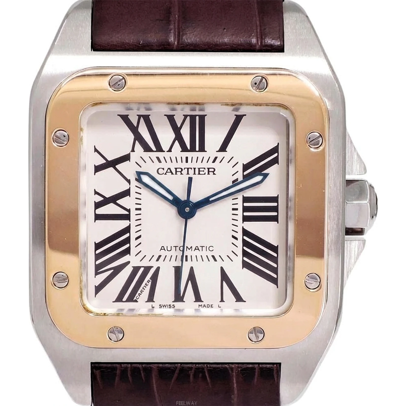Cartier Santos 100 WA602820