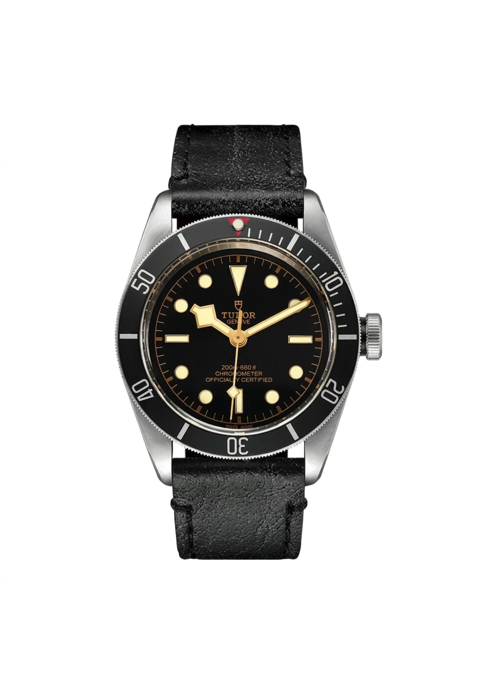 Tudor Black Bay M79230N