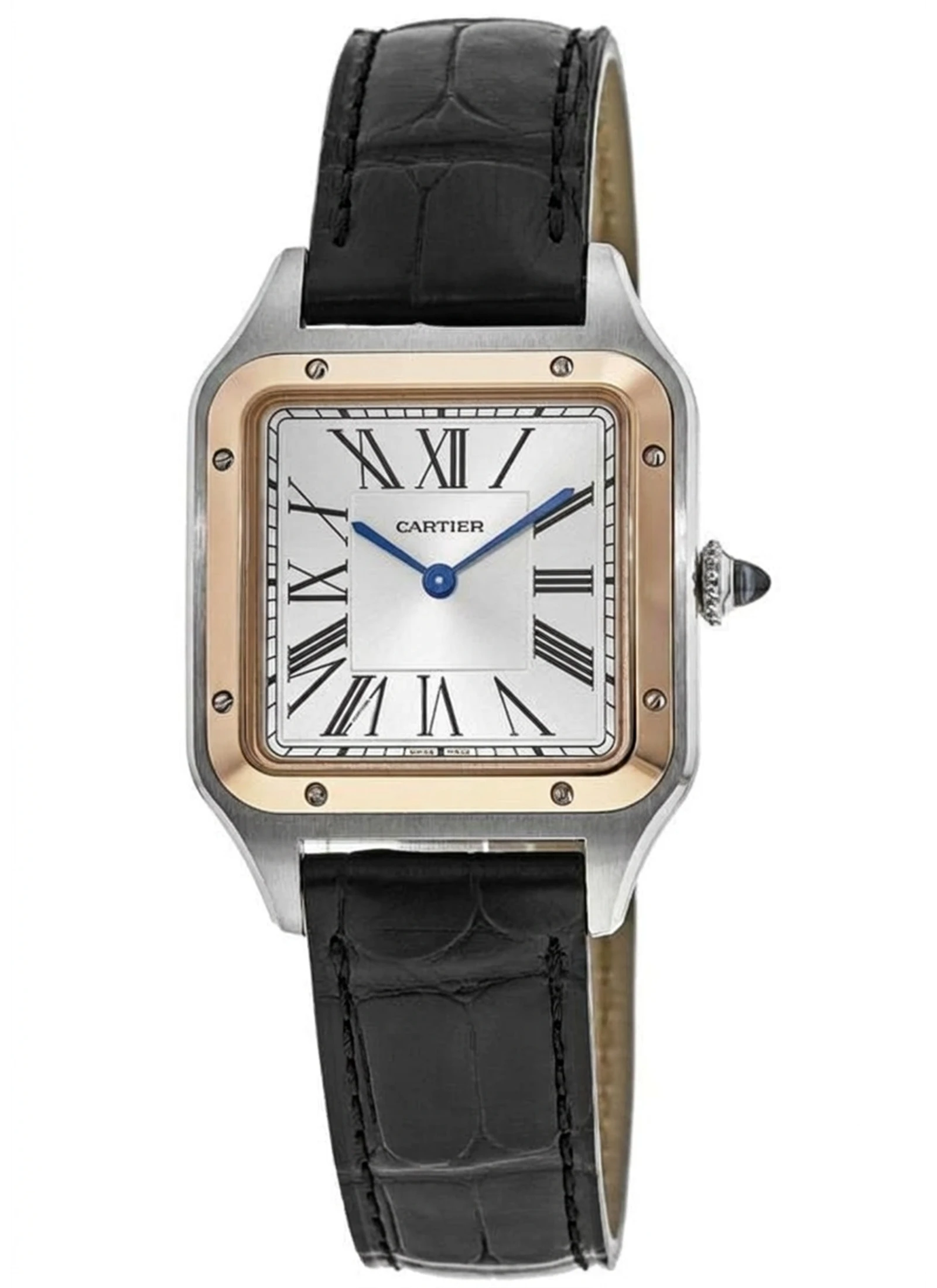 Cartier Santos Dumont W2SA0011