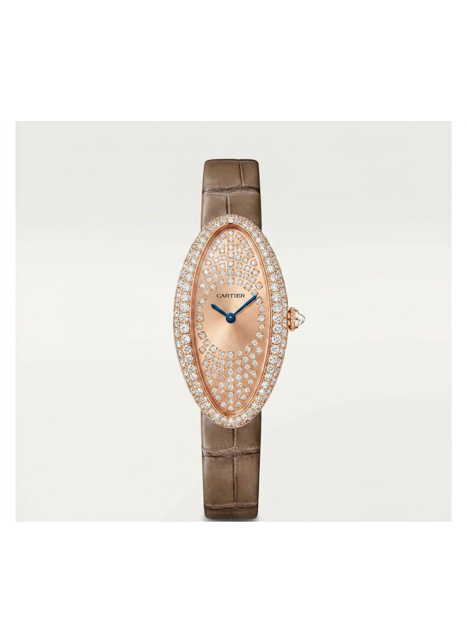 Cartier Baignoire WJBA0011