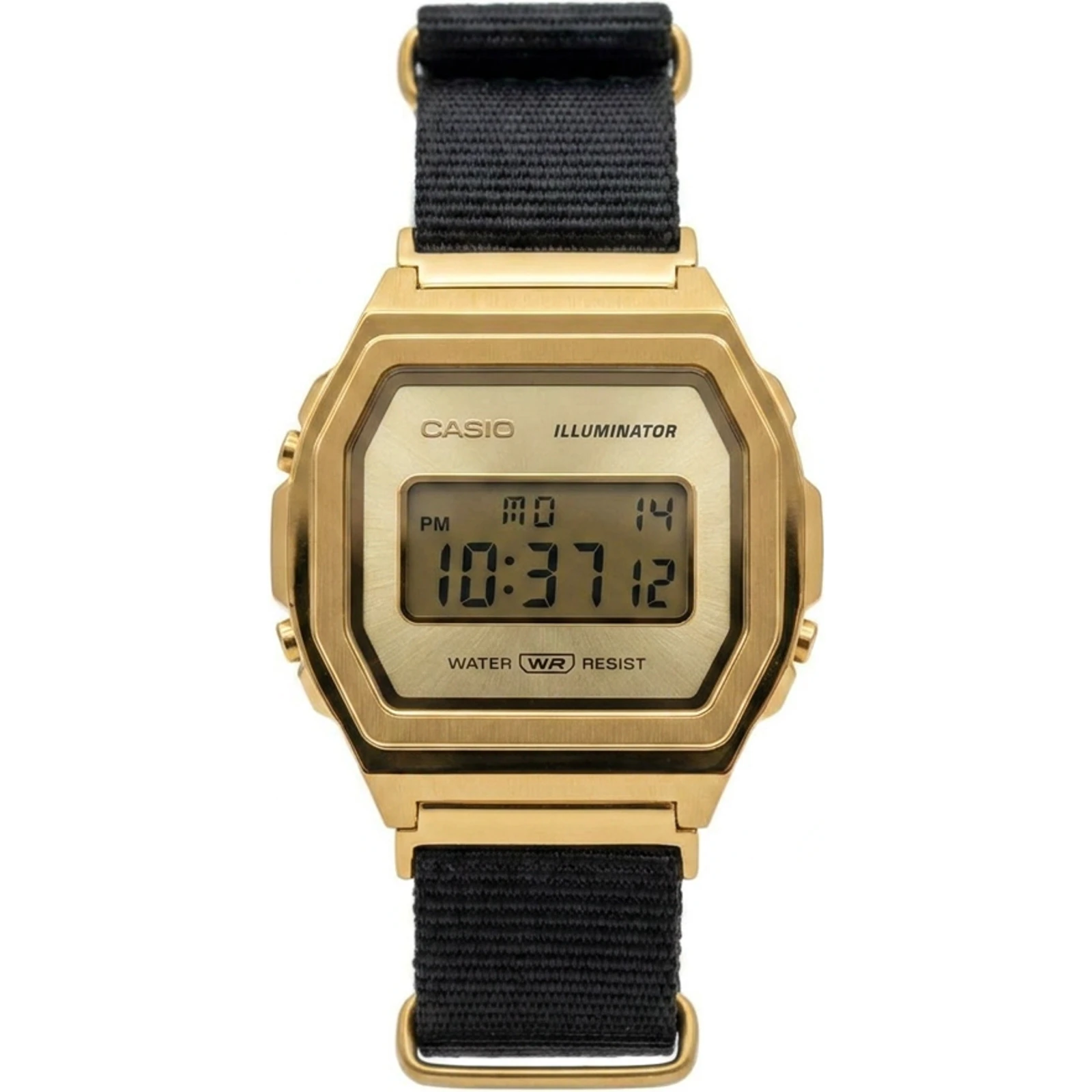 Casio A1000MGN