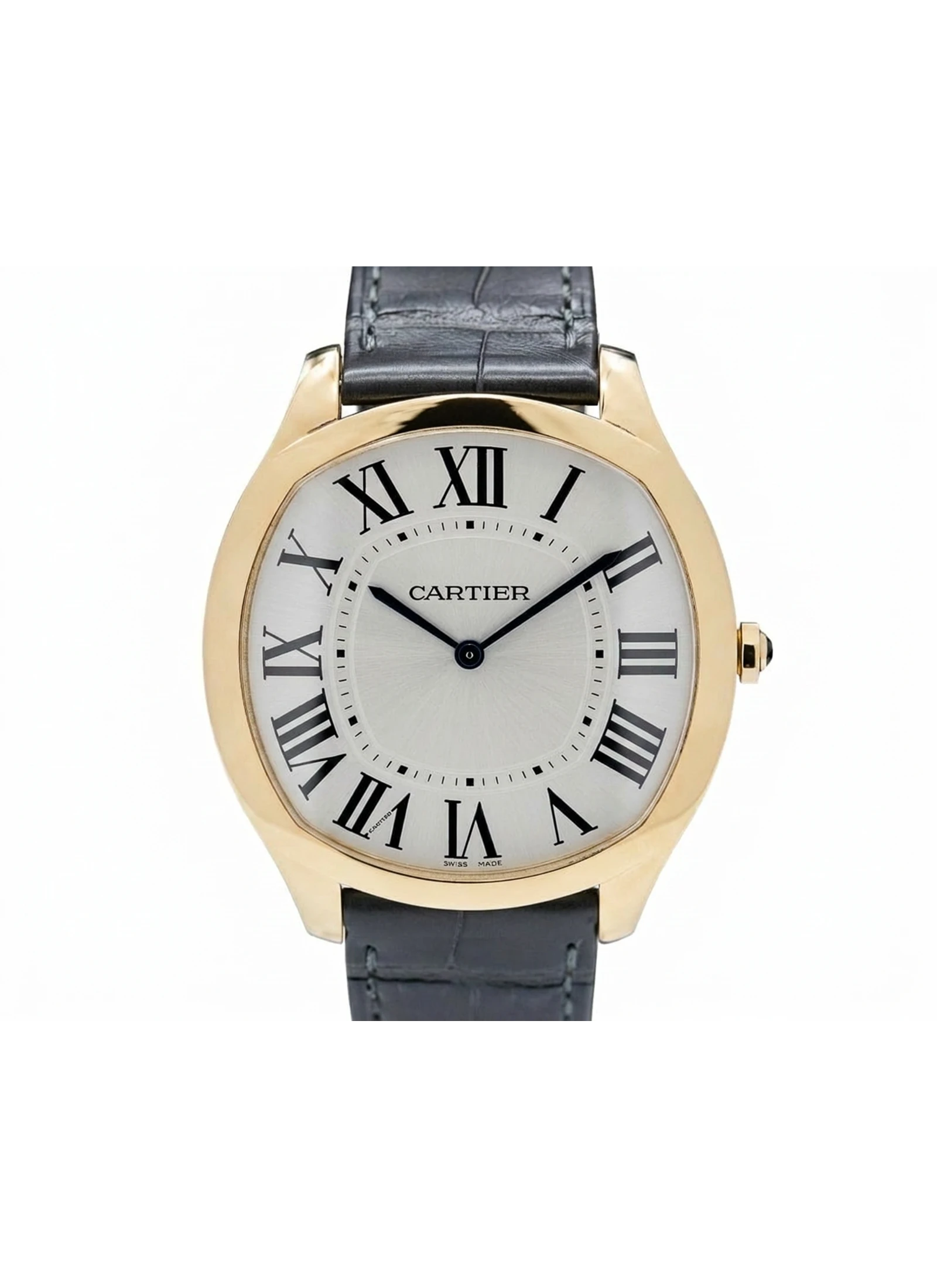 Drive de Cartier WGNM0011