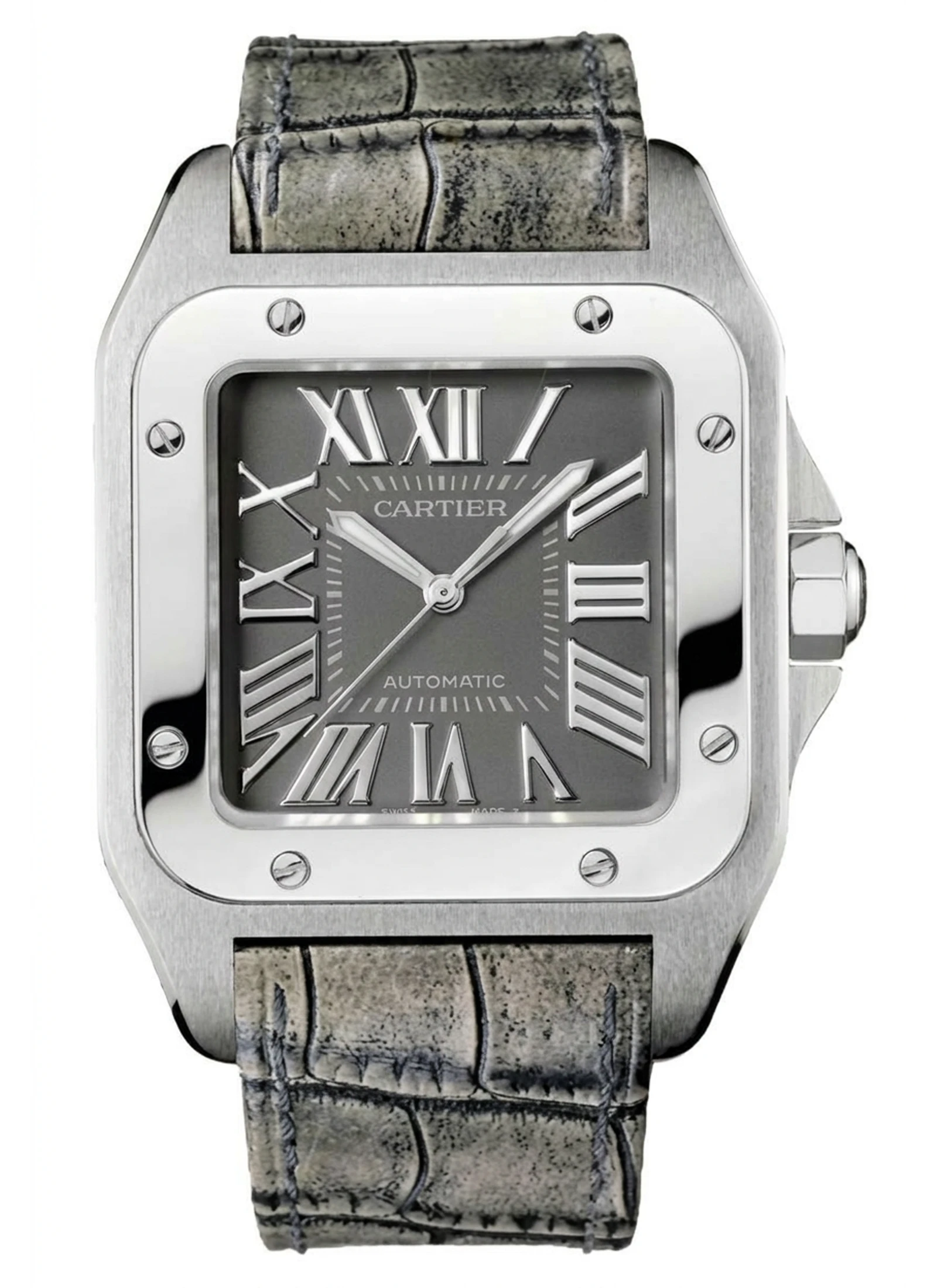 Cartier Santos 100 W20133X8