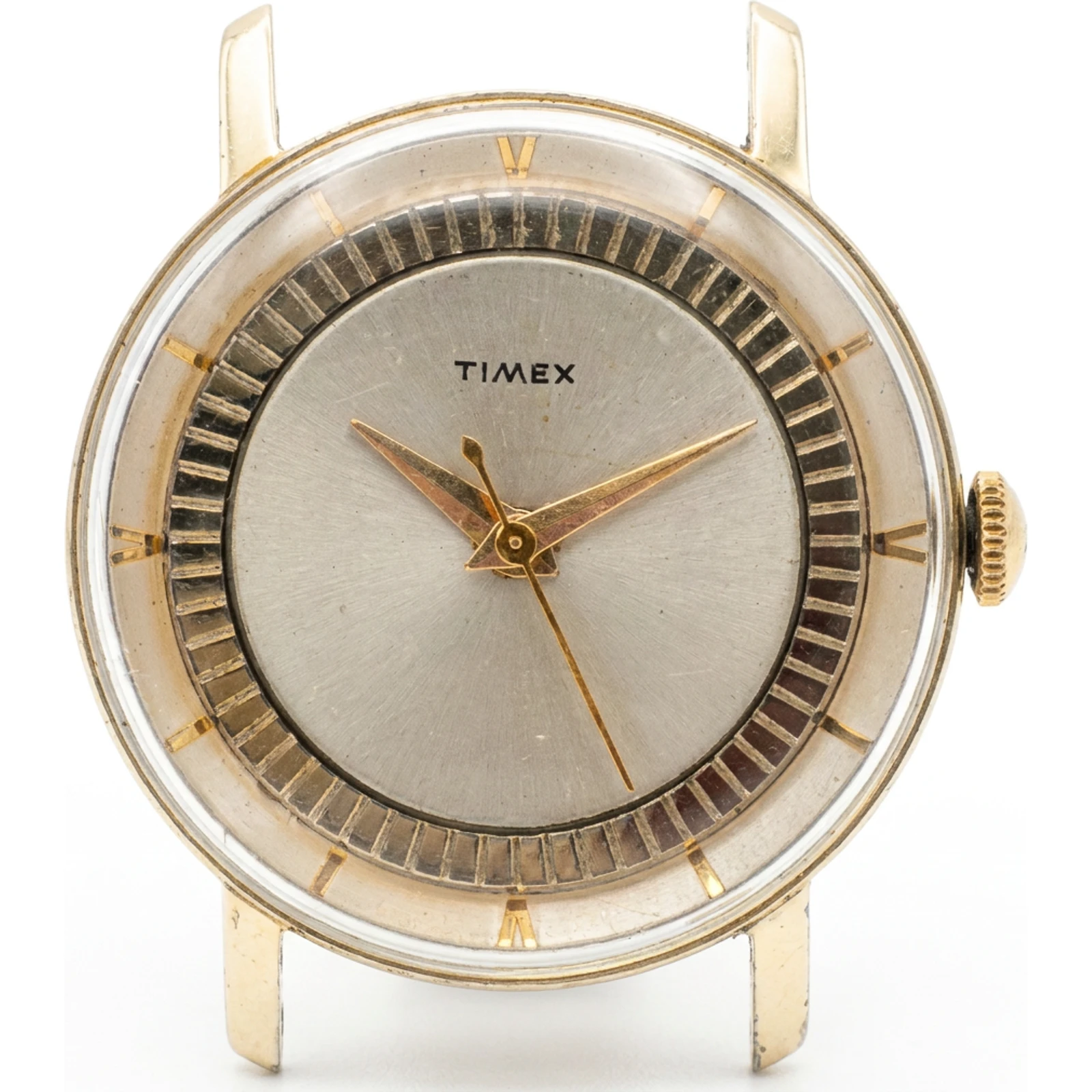 Timex Darwin