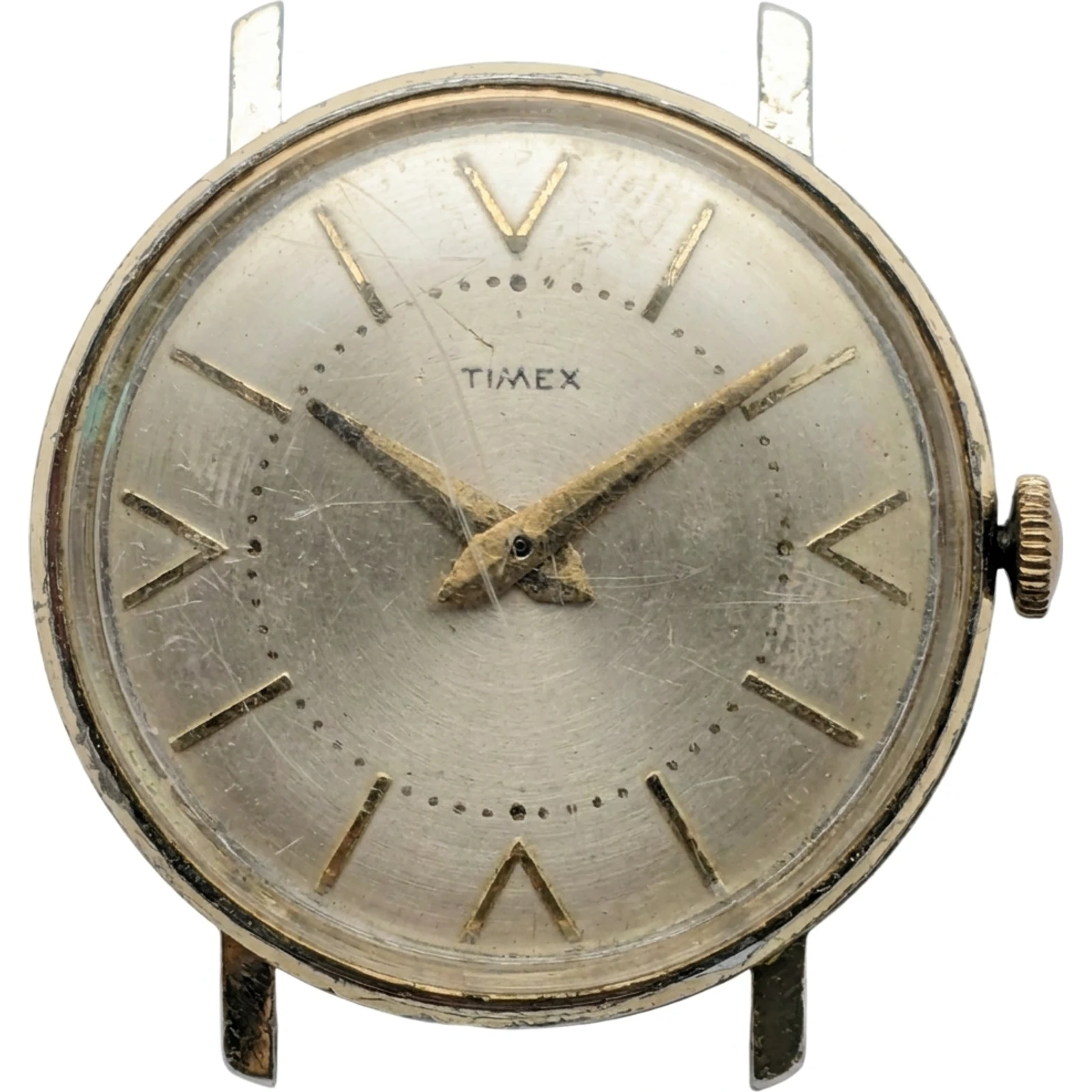 Timex Darwin Watch 1220 2259