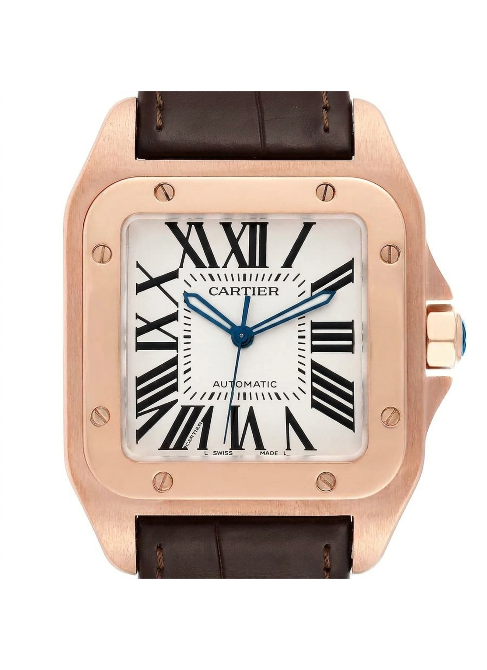 Cartier Santos 100 W20095Y1