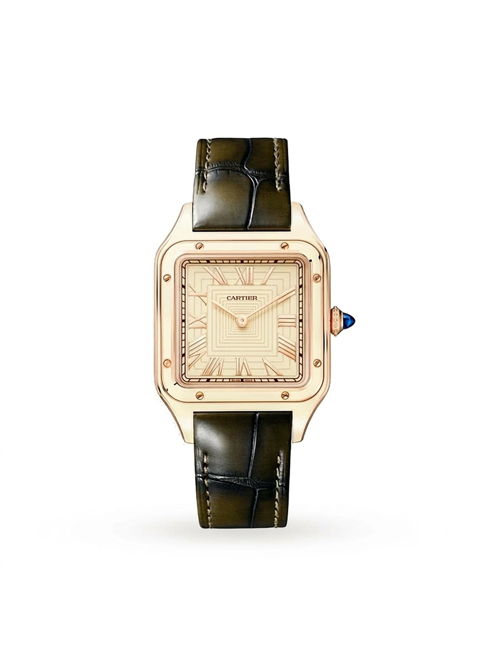 Cartier Santos Dumont WGSA0060
