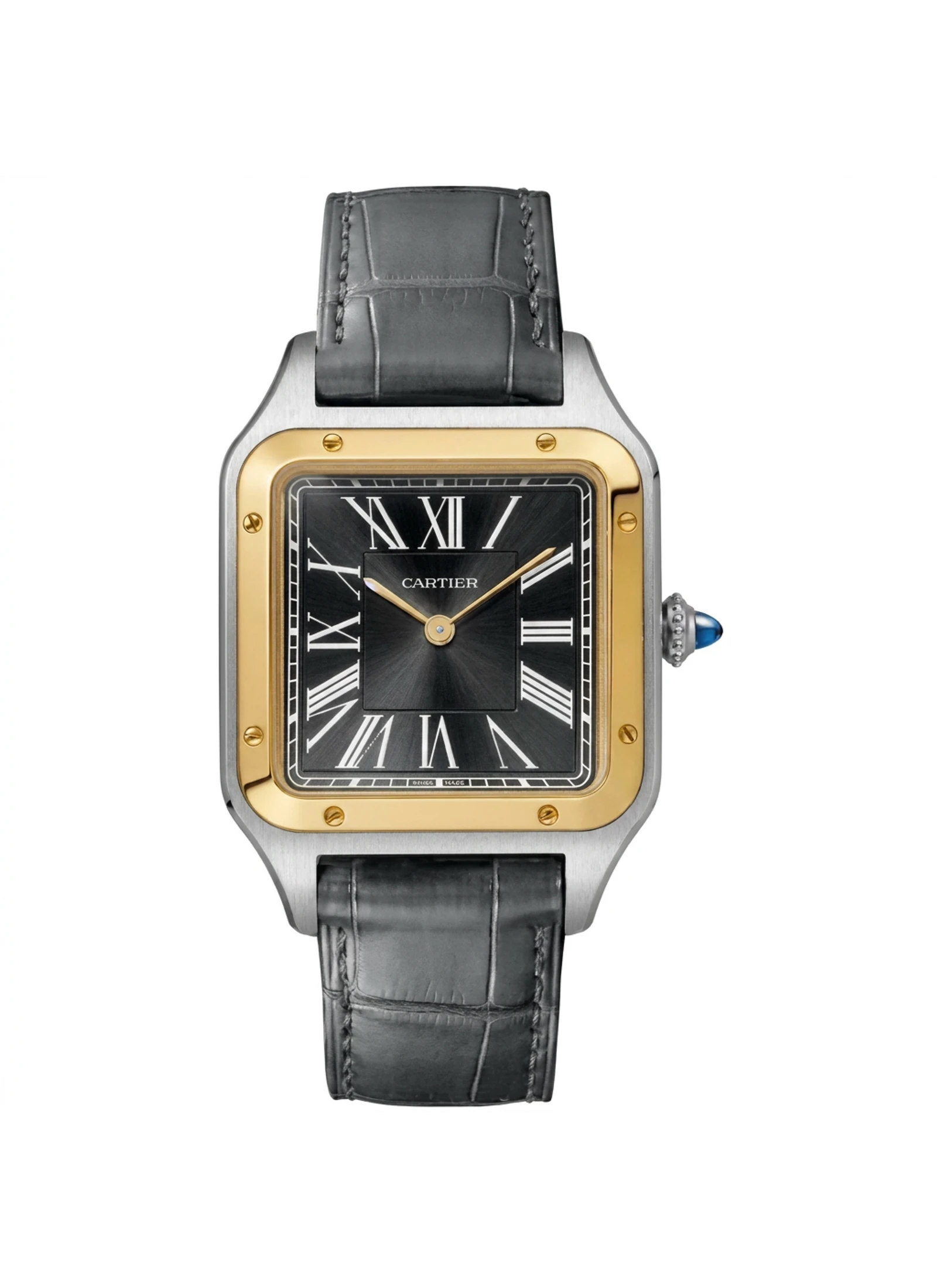 Cartier Santos Dumont W2SA0015